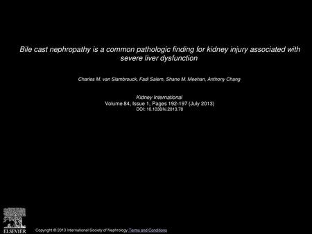 Bile cast nephropathy is a common pathologic finding for kidney injury associated with severe liver dysfunction  Charles M. van Slambrouck, Fadi Salem,