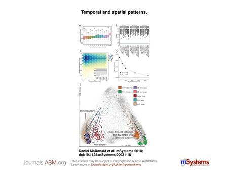 Temporal and spatial patterns.