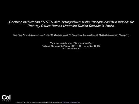 Germline Inactivation of PTEN and Dysregulation of the Phosphoinositol-3-Kinase/Akt Pathway Cause Human Lhermitte-Duclos Disease in Adults  Xiao-Ping.