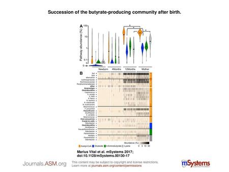 Succession of the butyrate-producing community after birth.