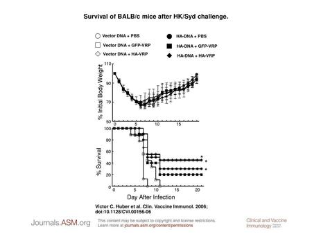 Survival of BALB/c mice after HK/Syd challenge.