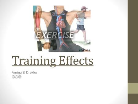 Training Effects Amina & Drexler .