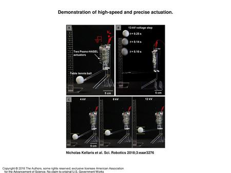 Demonstration of high-speed and precise actuation.