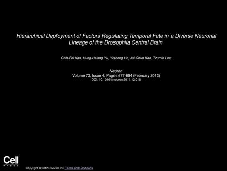 Hierarchical Deployment of Factors Regulating Temporal Fate in a Diverse Neuronal Lineage of the Drosophila Central Brain  Chih-Fei Kao, Hung-Hsiang Yu,