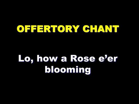 OFFERTORY CHANT Lo, how a Rose e’er blooming