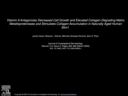 Vitamin A Antagonizes Decreased Cell Growth and Elevated Collagen-Degrading Matrix Metalloproteinases and Stimulates Collagen Accumulation in Naturally.