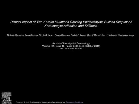 Distinct Impact of Two Keratin Mutations Causing Epidermolysis Bullosa Simplex on Keratinocyte Adhesion and Stiffness  Melanie Homberg, Lena Ramms, Nicole.