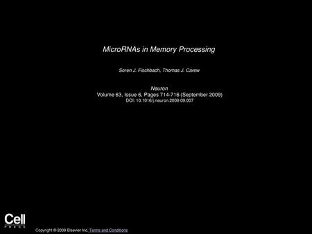 MicroRNAs in Memory Processing