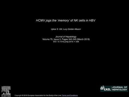 HCMV jogs the ‘memory’ of NK cells in HBV