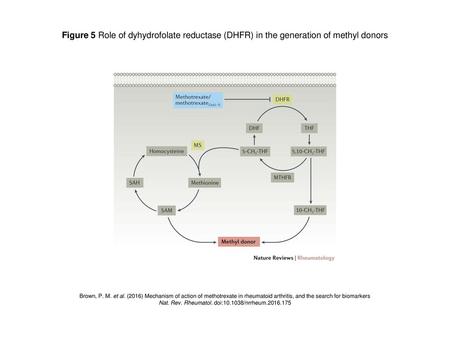 Nat. Rev. Rheumatol. doi: /nrrheum