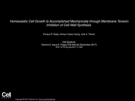 Homeostatic Cell Growth Is Accomplished Mechanically through Membrane Tension Inhibition of Cell-Wall Synthesis  Enrique R. Rojas, Kerwyn Casey Huang,