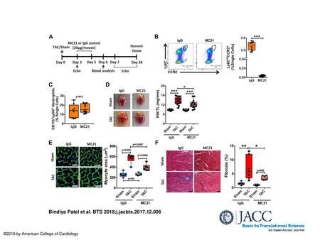 Bindiya Patel et al. BTS 2018;j.jacbts