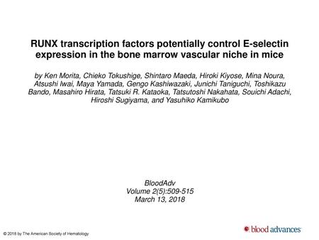 RUNX transcription factors potentially control E-selectin expression in the bone marrow vascular niche in mice by Ken Morita, Chieko Tokushige, Shintaro.