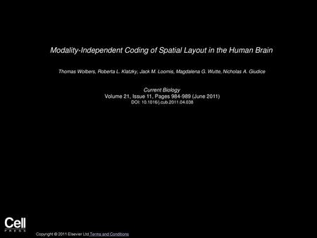 Modality-Independent Coding of Spatial Layout in the Human Brain