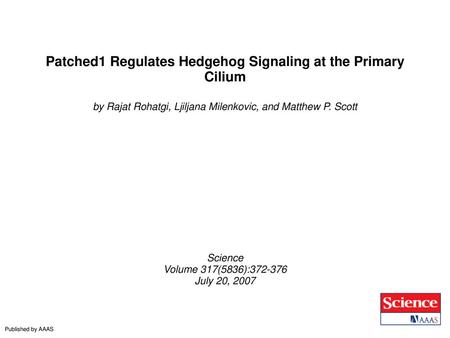 Patched1 Regulates Hedgehog Signaling at the Primary Cilium