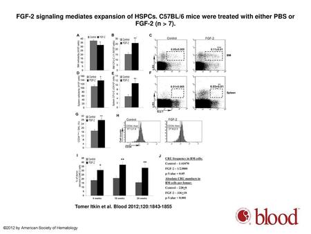 FGF-2 signaling mediates expansion of HSPCs