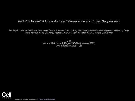 PRAK Is Essential for ras-Induced Senescence and Tumor Suppression