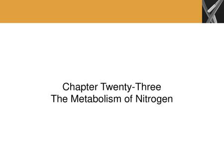 The Metabolism of Nitrogen