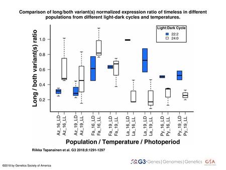 Comparison of long/both variant(s) normalized expression ratio of timeless in different populations from different light-dark cycles and temperatures.