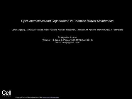 Lipid Interactions and Organization in Complex Bilayer Membranes