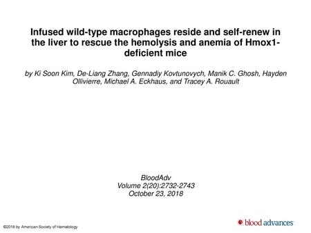 Infused wild-type macrophages reside and self-renew in the liver to rescue the hemolysis and anemia of Hmox1-deficient mice by Ki Soon Kim, De-Liang Zhang,