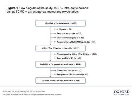 Figure 1 Flow diagram of the study