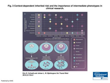 Fig. 3 Context-dependent inherited risk and the importance of intermediate phenotypes in clinical research. Context-dependent inherited risk and the importance.