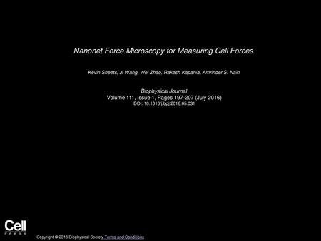 Nanonet Force Microscopy for Measuring Cell Forces