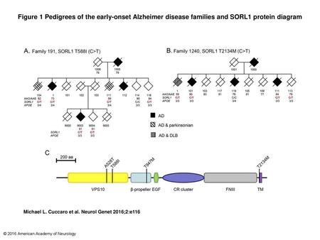 Figure 1 Pedigrees of the early-onset Alzheimer disease families and SORL1 protein diagram Pedigrees of the early-onset Alzheimer disease families and.