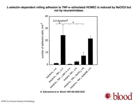 L-selectin–dependent rolling adhesion to TNF-α–stimulated HCMEC is reduced by NaClO3 but not by neuraminidase. L-selectin–dependent rolling adhesion to.