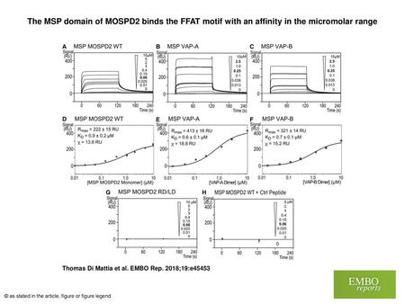 The MSP domain of MOSPD2 binds the FFAT motif with an affinity in the micromolar range The MSP domain of MOSPD2 binds the FFAT motif with an affinity in.