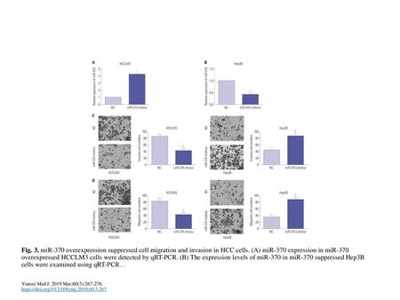 Fig. 3. miR-370 overexpression suppressed cell migration and invasion in HCC cells. (A) miR-370 expression in miR-370 overexpressed HCCLM3 cells were detected.