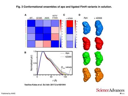 Conformational ensembles of apo and ligated FimH variants in solution