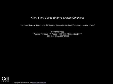 From Stem Cell to Embryo without Centrioles