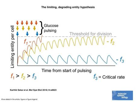 The limiting, degrading entity hypothesis