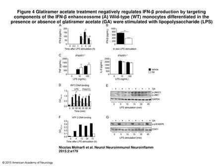 Figure 4 Glatiramer acetate treatment negatively regulates IFN-β production by targeting components of the IFN-β enhanceosome (A) Wild-type (WT) monocytes.