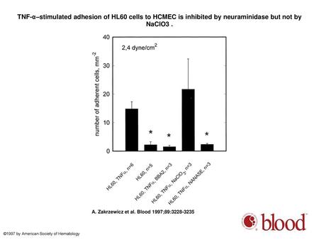 TNF-α–stimulated adhesion of HL60 cells to HCMEC is inhibited by neuraminidase but not by NaClO3 . TNF-α–stimulated adhesion of HL60 cells to HCMEC is.