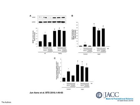 Everolimus Silences E2F Target Genes Through TERT-Dependent Epigenetic Histone Modification (A) Western blotting for MCM7 in WT and TERTtg mSMC treated.