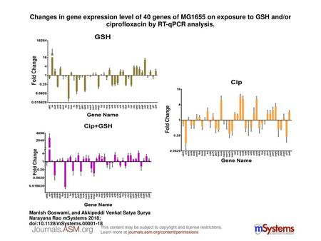 Changes in gene expression level of 40 genes of MG1655 on exposure to GSH and/or ciprofloxacin by RT-qPCR analysis. Changes in gene expression level of.