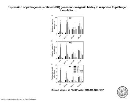 Expression of pathogenesis-related (PR) genes in transgenic barley in response to pathogen inoculation. Expression of pathogenesis-related (PR) genes in.