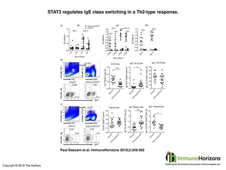 STAT3 regulates IgE class switching in a Th2-type response.