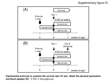 (A) (B) Supplementary figure S1