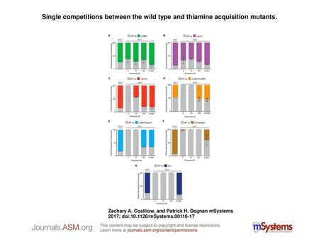 Single competitions between the wild type and thiamine acquisition mutants. Single competitions between the wild type and thiamine acquisition mutants.