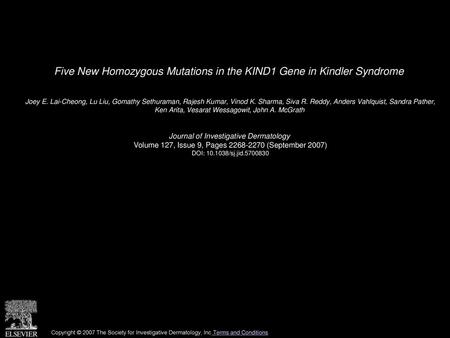 Five New Homozygous Mutations in the KIND1 Gene in Kindler Syndrome