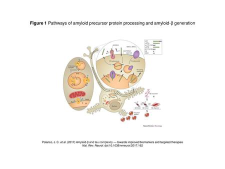 Nat. Rev. Neurol. doi: /nrneurol