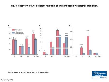 Fig. 3. Recovery of AVP-deficient rats from anemia induced by sublethal irradiation. Recovery of AVP-deficient rats from anemia induced by sublethal irradiation.