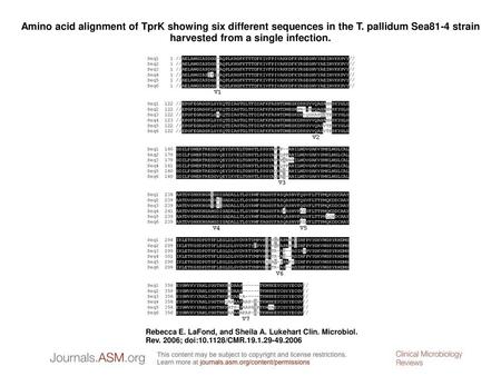 Amino acid alignment of TprK showing six different sequences in the T