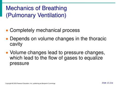 Mechanics of Breathing (Pulmonary Ventilation)