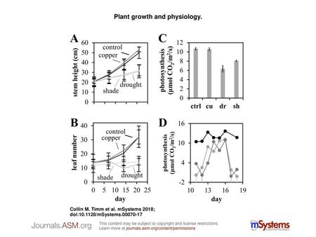 Plant growth and physiology.