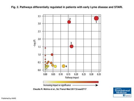 Fig. 2. Pathways differentially regulated in patients with early Lyme disease and STARI. Pathways differentially regulated in patients with early Lyme.